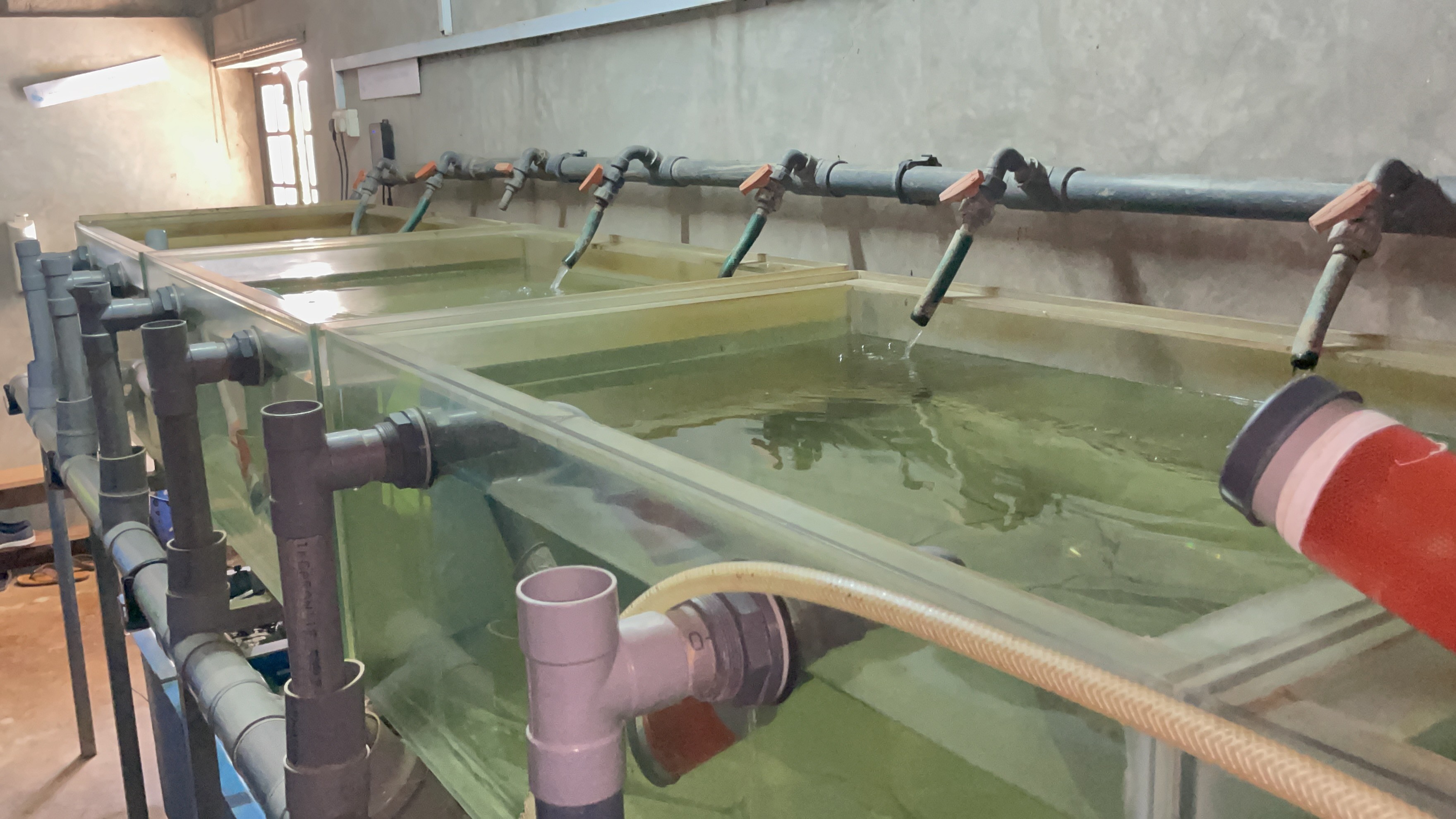 Hatchery Design Image 1